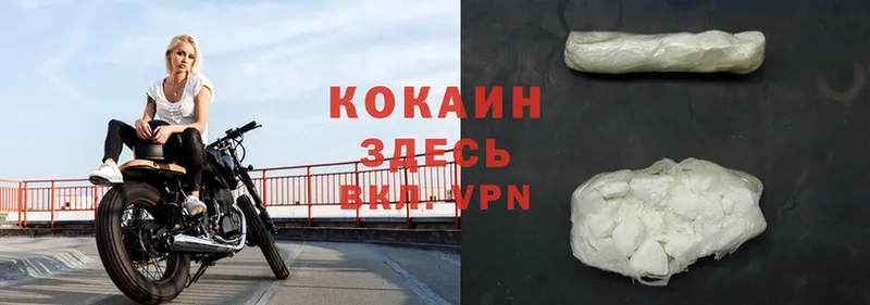 Cocaine Эквадор  наркошоп  Котельнич 